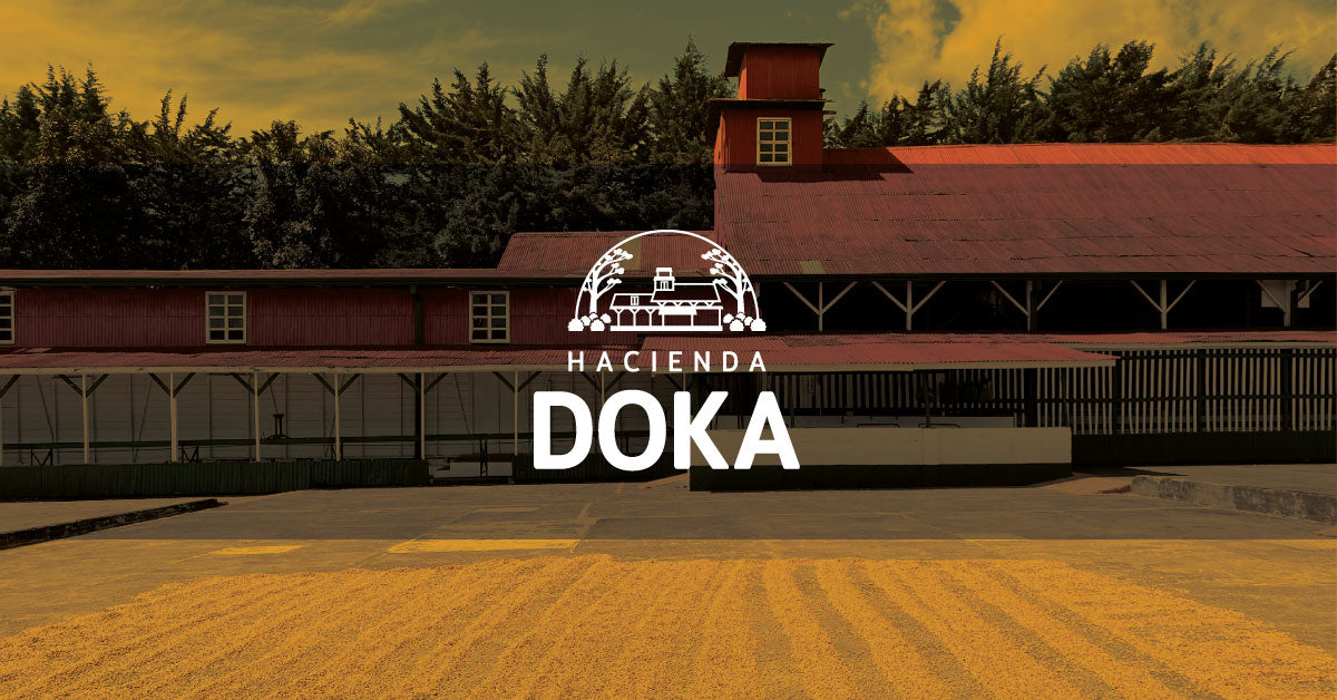 Hacienda Doka logo